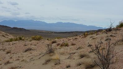 Arid Central Asia